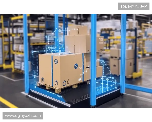 顶胜体育如何利用数字化技术优化供应链管理提升运营效率的实践探索